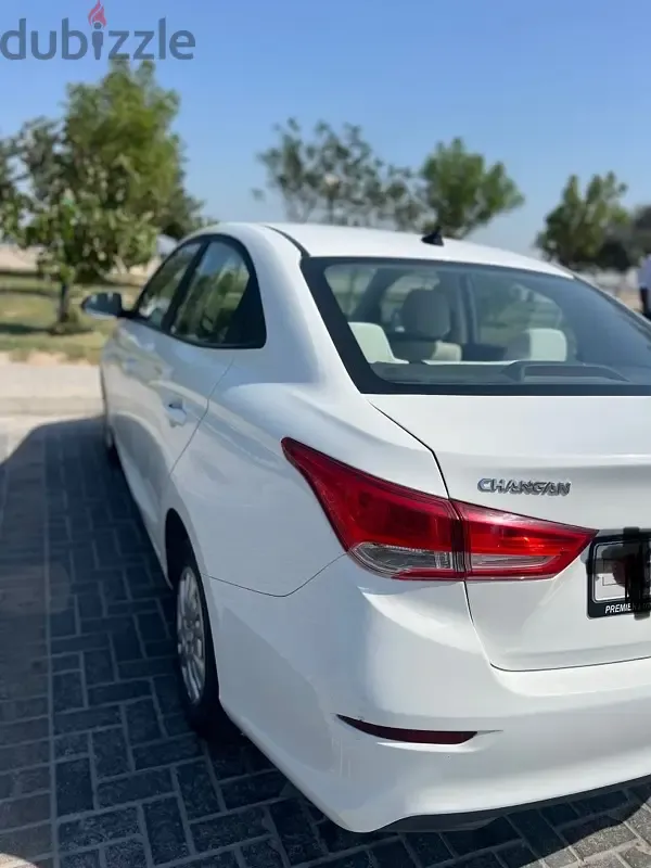 شانجان السفين 2022